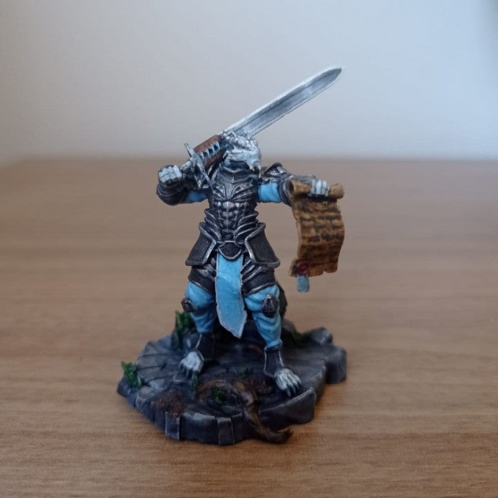 Customer build of Dragonborn Knight shared by Vinícius de Souza Oliveira