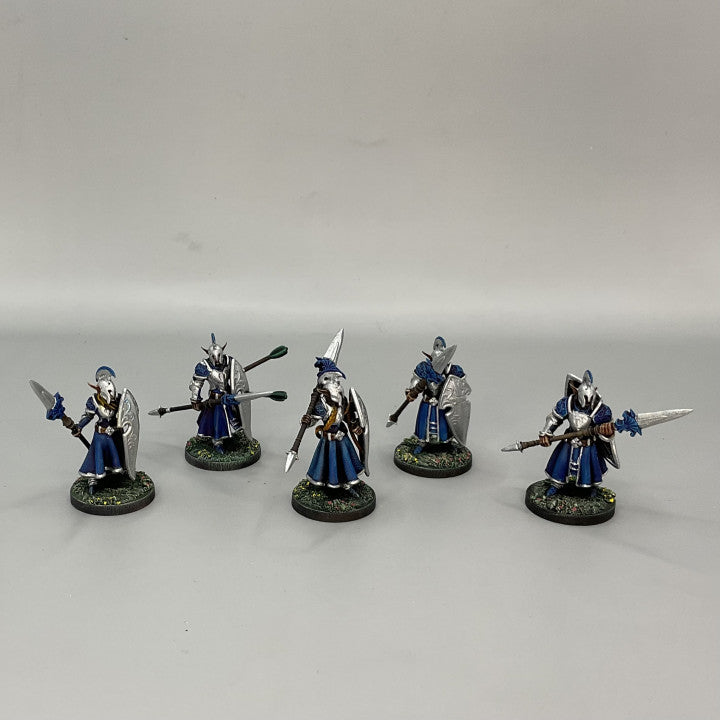 Customer build of The Lancers - High Elves shared by Lori