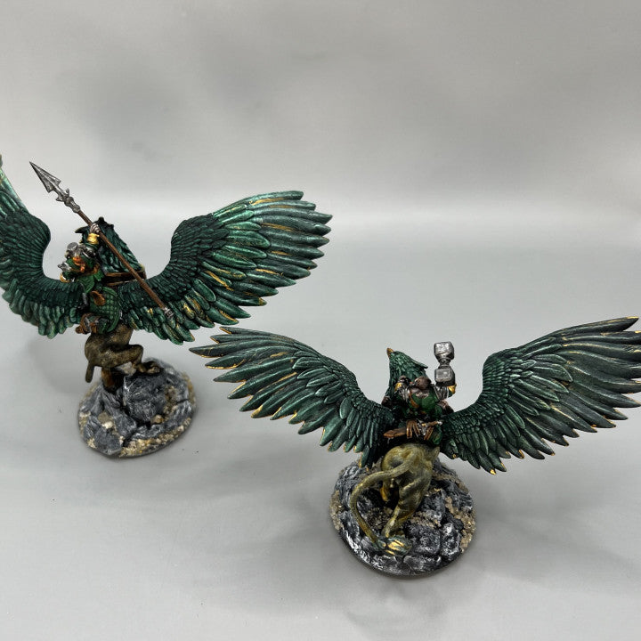Customer build of Dwarf Gryphon Rider shared by Lori