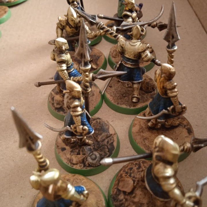 Customer build of Elves Tallspears Regiment shared by IOANNIS MPOUNTOURIS