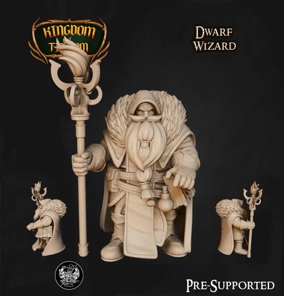Dwarf Wizard