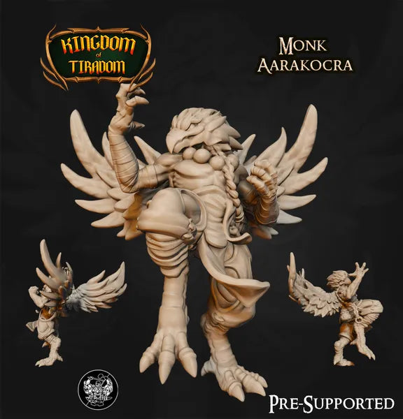 Bird Monk digital STL preview
