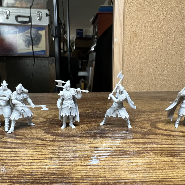 High Elf Lion Clan Fighter digital STL gallery - 33ac83bc-2598-44bb-abce-ab78bca33caf