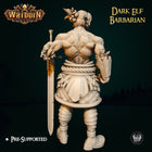 Dark Elf Barbarian digital STL gallery - dark-elf-v2-1