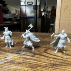 High Elf Lion Clan Fighter digital STL gallery - ece7c280-0063-478e-a8b9-60e4e61ffb15