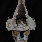 Ruined Building Set (Addon) digital STL gallery - img-20210516-130819