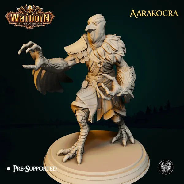 Aarakocra digital STL preview