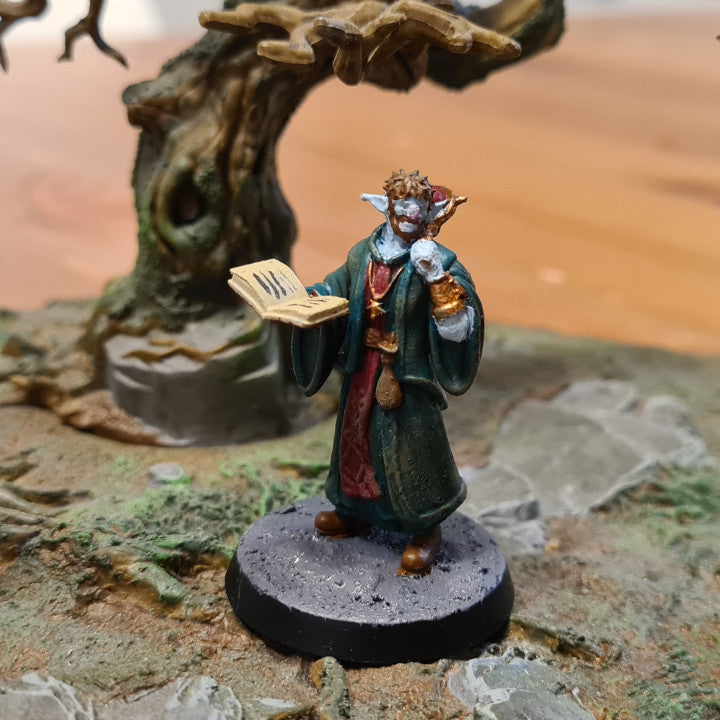 Customer build of Firbolg Cleric shared by Mick O'Sullivan
