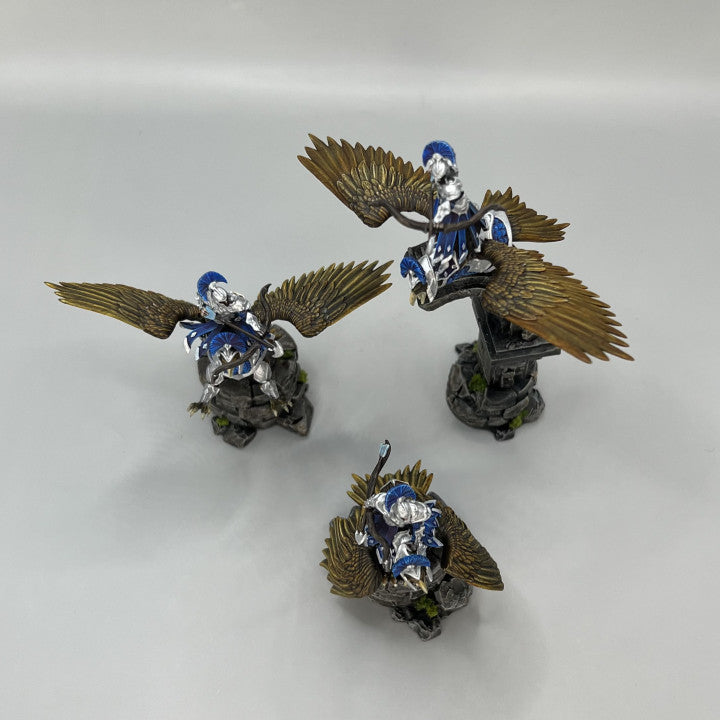 Customer build of Eagle Rider - High Elves shared by Lori
