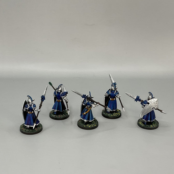 Customer build of The Lancers - High Elves shared by Lori