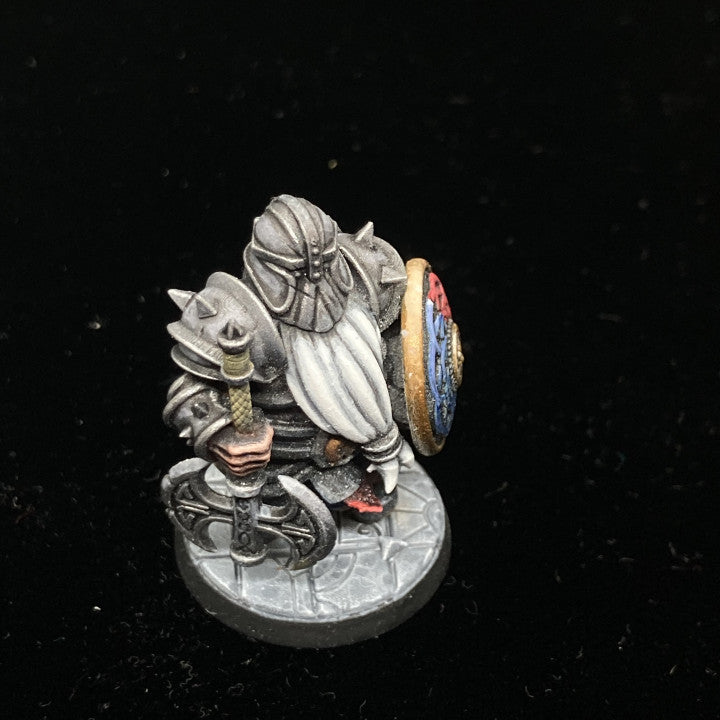 Customer build of Dwarf Iron Guards shared by Le Loup Qui Louche