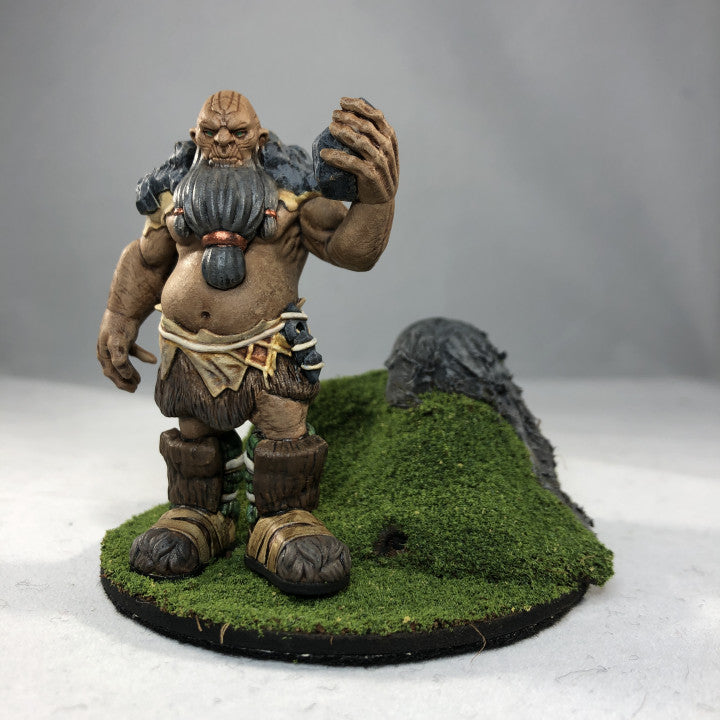 Customer build of Mountain Giant shared by John K