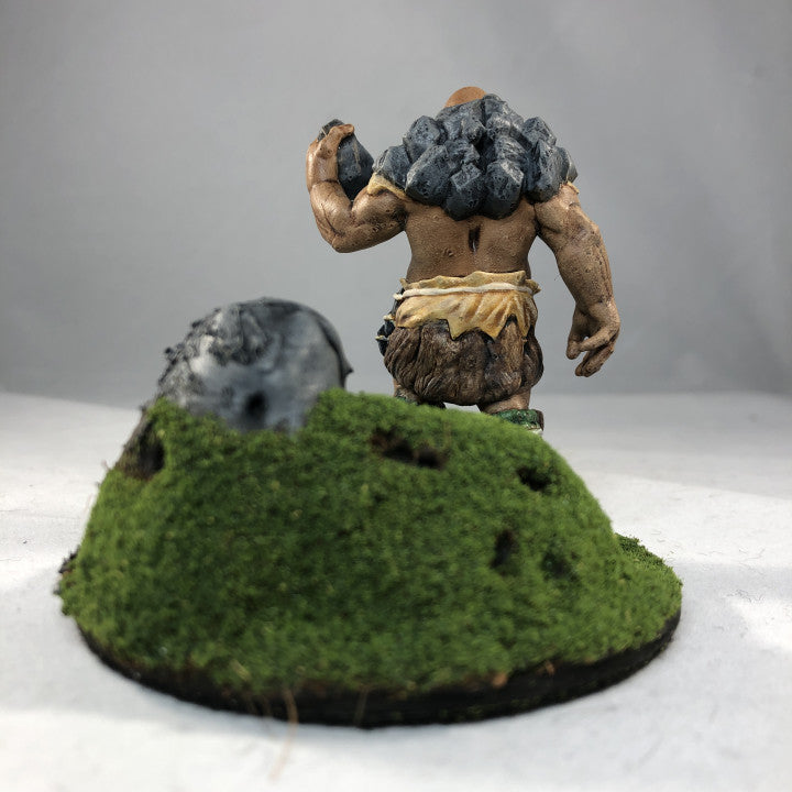 Customer build of Mountain Giant shared by John K