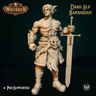 Dark Elf Barbarian digital STL preview