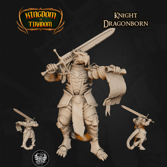 Dragonborn Knight