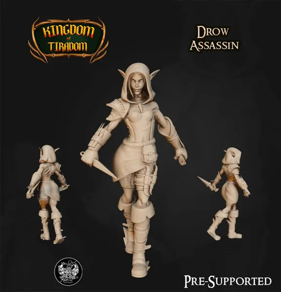 Drow Assassin