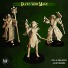 High Elf Warhost gallery image 9: Elves War Mage