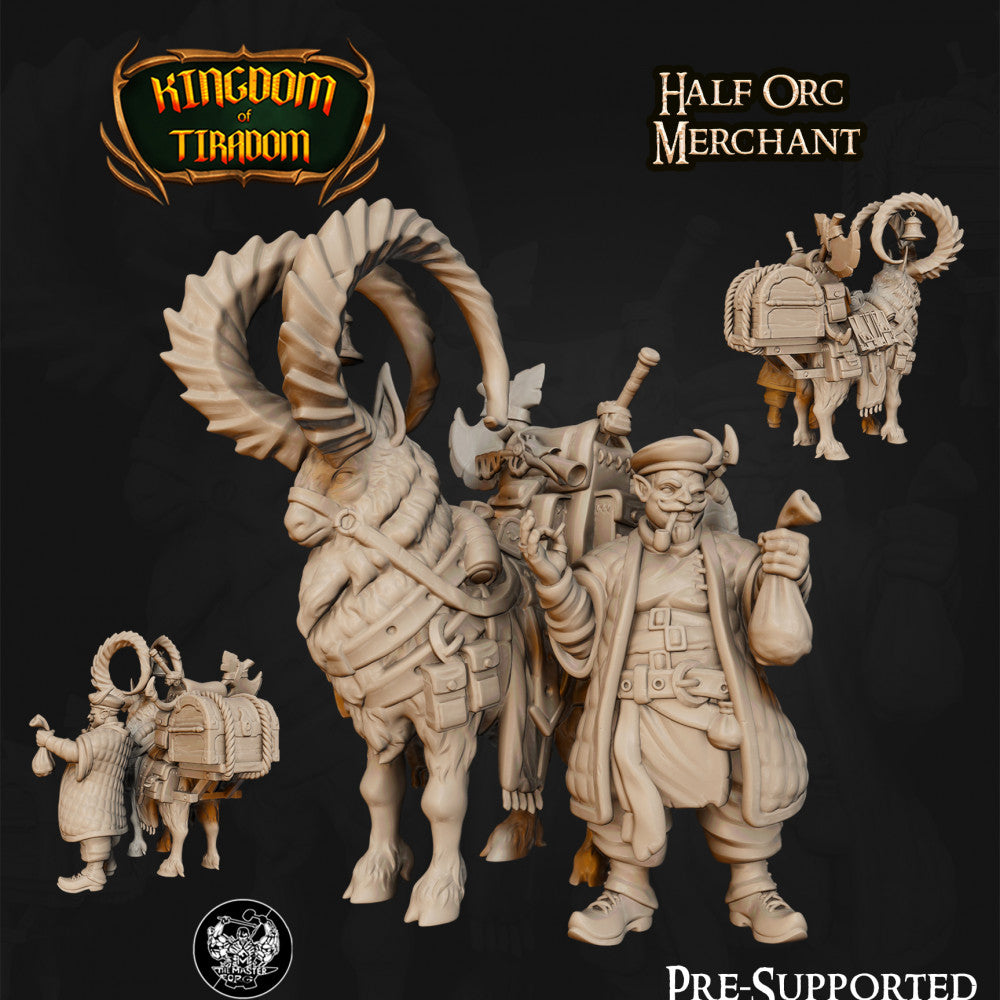 Half Orc Merchant digital STL preview 1