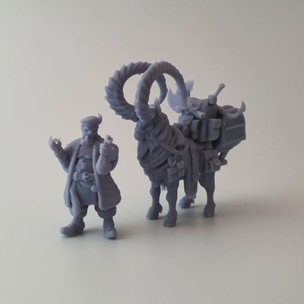 Half Orc Merchant digital STL preview 2