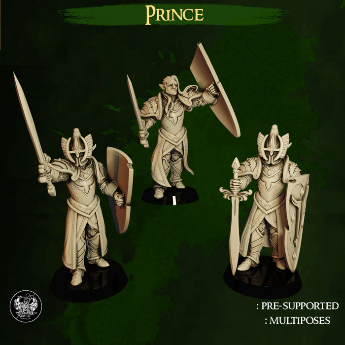 High Elves Prince
