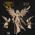 Adventurer's Guild Mega Pack included product - Paladin Aasimar from Kingdom Of Tiradom