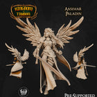 Paladin Aasimar from Kingdom Of Tiradom digital STL preview 2