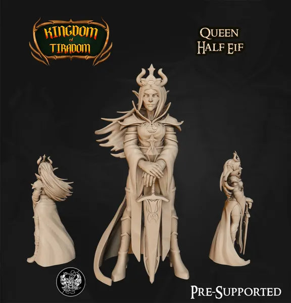 Adventurer's Guild Mega Pack gallery image 7: Half Elf Queen